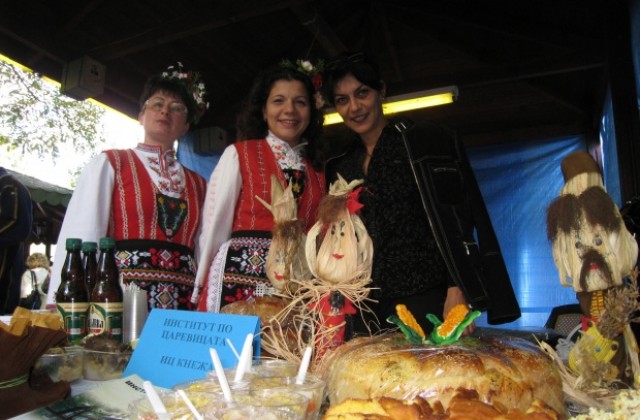 15 нови агросорта е патентовала България през последните години