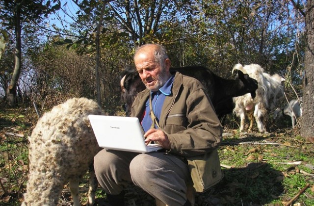 Пастири с лаптопи - обичайна гледка в българското село