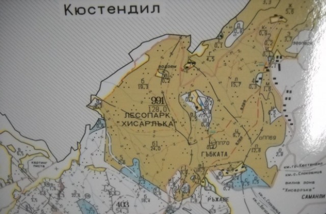 Над 200 дка гора е отрязана заради нападение от върхов корояд
