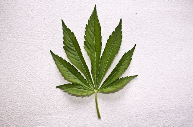 Майка занесе марихуаната на сина си в полицията