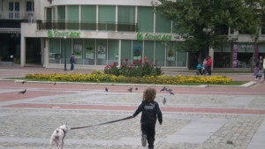 Разкопават три участъка на пл Свобода