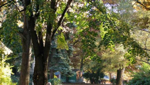 Тази нощ местим часовниците с час назад