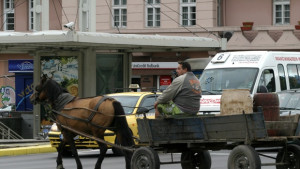Наказателен паркинг за бездомните коне в София