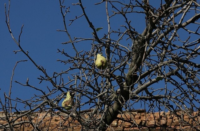 Температурeн рекорд във Варна
