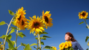 Когато душата страда