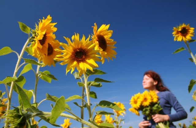 Когато душата страда...