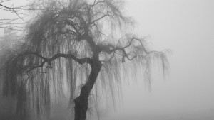 Опасни опасения