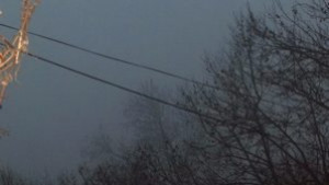 Поражения от вятъра в планинската част на общината