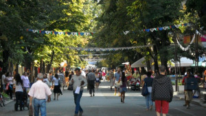 Започва набиране на преброители