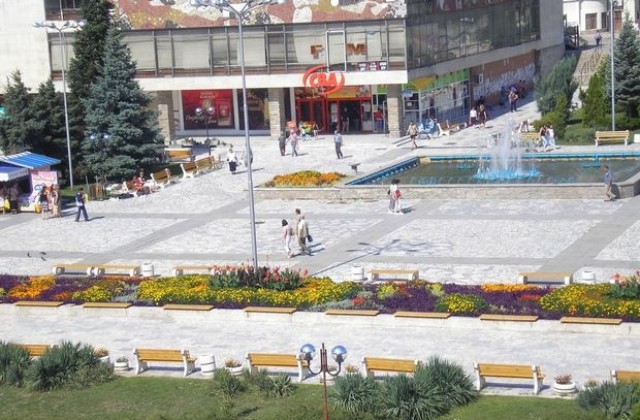Над 200 фиданки залесяват в Горна Оряховица