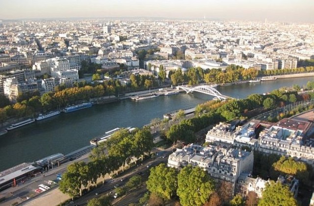 Париж е заплашен от напаст от дървеници