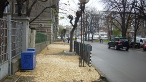 Продължава ремонта на тротоарите в Русе