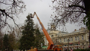 Започнаха да украсяват коледната елха