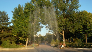 Дръвче за всяко новородено Алея на новия живот в Димитровград