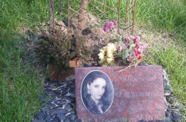 ВКС се произнася до месец по делото за Радостина