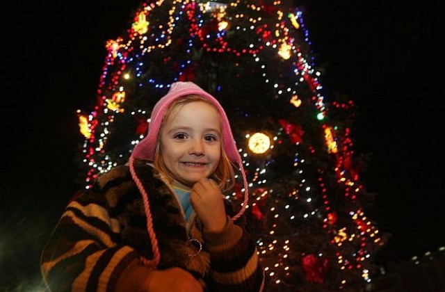 Елха и ретротрамвай в София за 1 декември