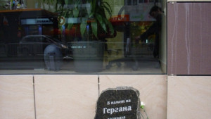 Гледат делото за козиркатаубиец