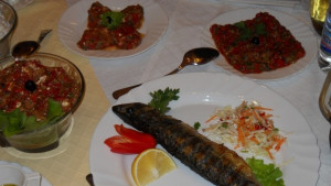 Първи празник на рибата в Калояновец