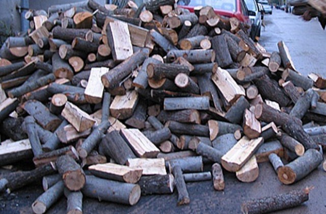Иззеха незаконни дърва във видинско