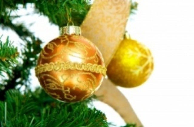 Kоледната елха във Варна ще грейне тази вечер