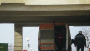 Румънец нацели крайпътно дърво
