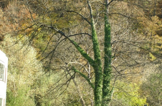 Слънчево, но студено