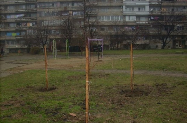 Отново се приемат заявки за залесителната кампания в Сливен