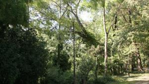 Изграждат модерен парк във Владиславово