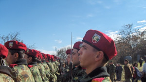Предлагат ОбС Враца да приеме декларация в защита на поделението