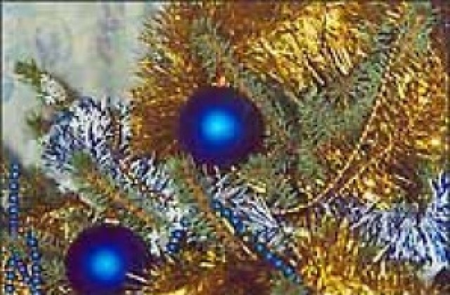 Коледна елха грейна в Шабла