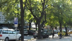 Едневникът против насилието разлистен близо 7 000 пъти