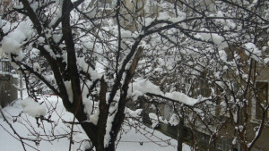 Създадена е добра организация за зимната обстановка твърдят от Кризисния