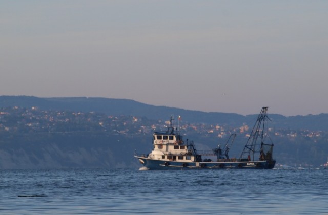 Квотата ни за калкан намалена само с 10 на сто