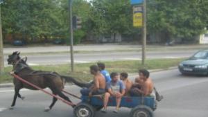 Социално порно