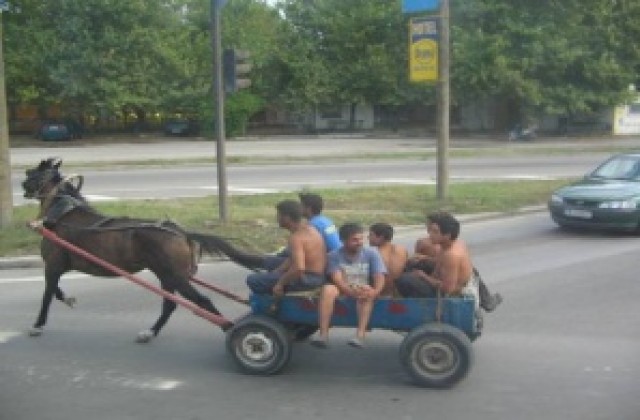 Социално порно