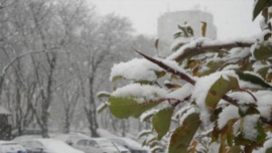 Сняг вали в Бургаско