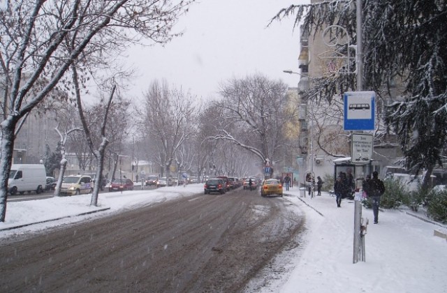 Нямало условия за дървена ваканция заради снега