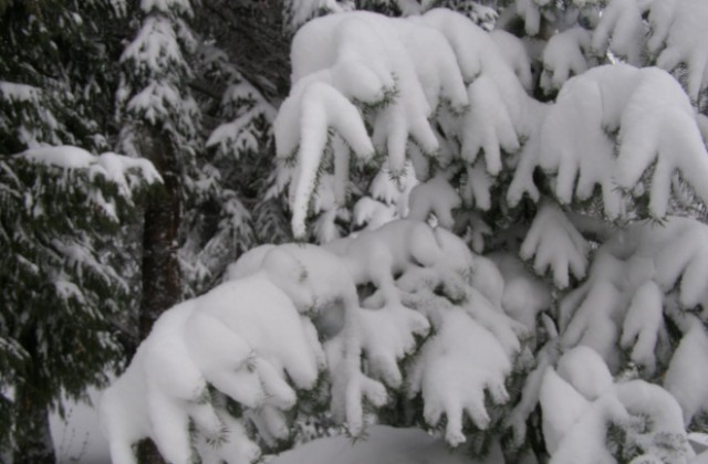 Температурите се покачват