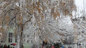 Здраве чрез слово