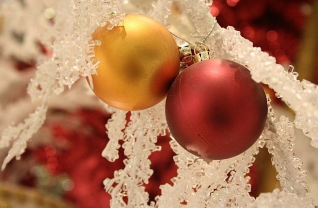 В Тайван грейна елха от пластмасови лъжици