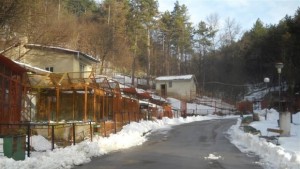 Зоокътът няма да бъде затварян но павианът трябва да се