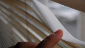 Отрочетата на отдел Шпионаж