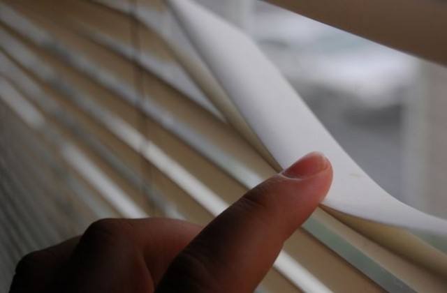 Отрочетата на отдел Шпионаж