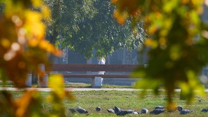 Топла Коледа на места с валежи от дъжд