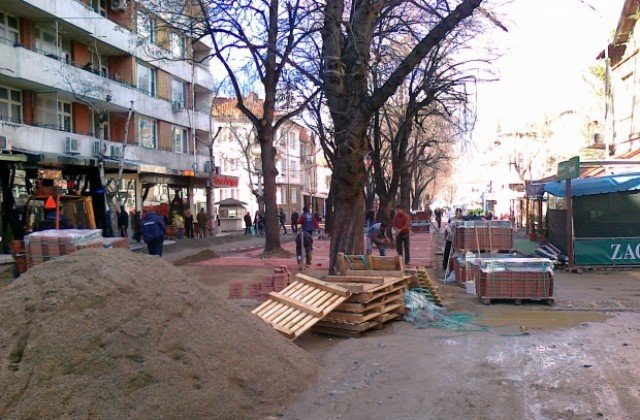 Снимка: И на Коледа редят павета по алеята в Кюстендил