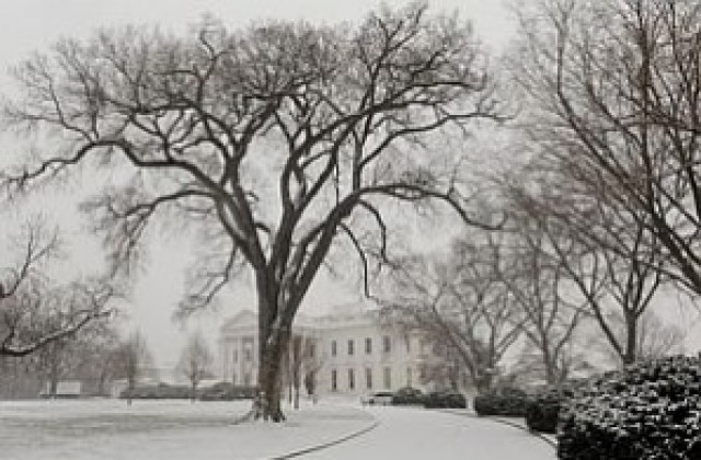 Снежна буря в САЩ се насочва към Вашингтон