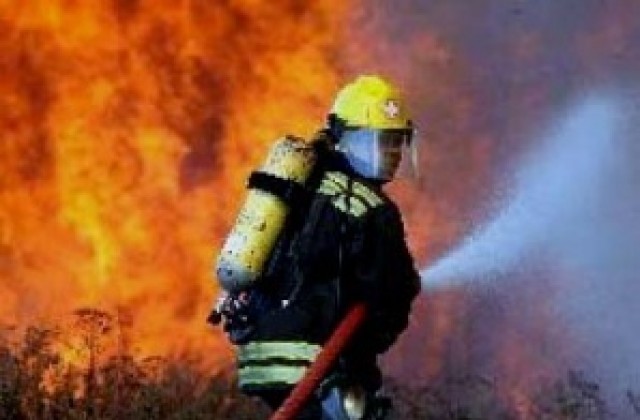 Син подпали майка си на Коледа