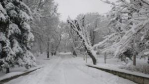 17 дни от 2010 с температурни рекорди в Добрич