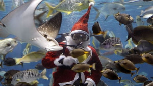 Екипажът на кораб България първи ще посрещне новата година