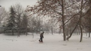 Пътищата са проходими при зимни условия